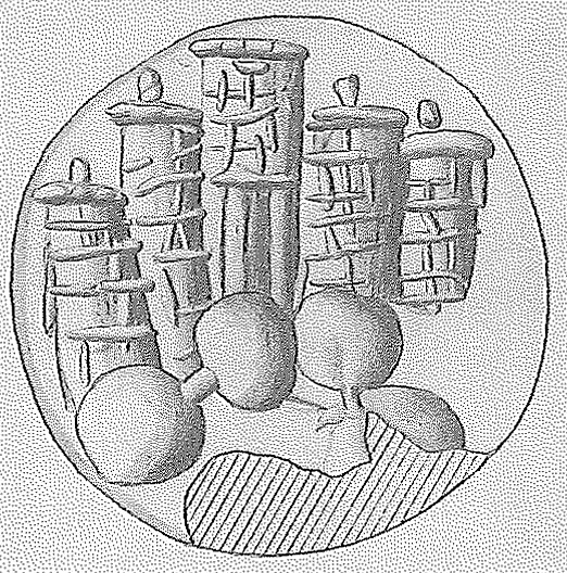 Fig. 9. Coastal towers depicted on a Late Minoan I sealing from Zakros (CMS 2[7], no. 218) (courtesy I. Pini).