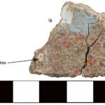 Fig. 6. Plaster fresco fragment (3055–16c) with red, blue, and white paint, from area D-South.