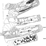 Fig. 1. Site plan of Mersa/Wadi Gawasis.