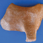 Fig. 6. A Sabir culture sherd from Aden region, excavated at Mersa/Wadi Gawasis.