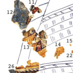 Fig. 17. Detail of skirt, Fragments 10–14, 26; preliminary drawing and arrangement by the author (K. May; courtesy INSTAP-SCEC).