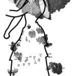 Fig. 19. ragments adapted to outline of Striding Lady from Thera (drawing by R. Ruppert; modified from Doumas 1992, pl. 6).