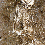 Fig. 3. The skeleton of Individual 1 (Pian di Civita) (Tarquinia Project).