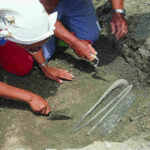 Fig. 9. The excavation of the "bronzes" from TP 284A (Pian di Civita) (Tarquinia Project).