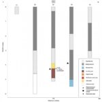 Fig. 2. Transect 4 borehole logs (N. Dodds).