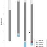 Fig. 3. Transect 5 borehole logs (N. Dodds).