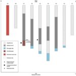 Fig. 4. Transect 6 borehole logs (N. Dodds).