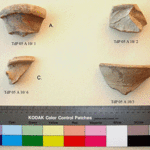 Fig. 12. Sherds: a, TdP 05 A 10/1; b, TdP 05 A 10/2; c, TdP 05 A 10/6; d, TdP 05 A 10/3.