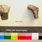 Fig. 14. Sherd TdP 05 A 10/4.