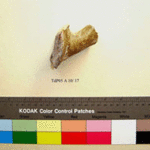 Fig. 18. Sherd TdP 05 A 10/17.