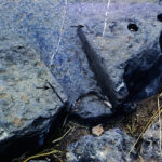 Fig. 5. Exit channel for water in northeastern corner of bathing slab at Tiryns. Note preliminary saw marks at arrows.