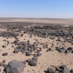 Fig. 14. Chalcolithic/Early Bronze Age I campsite with remains of pen structures in Marrab al-Khidari (site XII-9) at the northeastern border of the basalt desert (B. Müller-Neuhof).