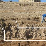 Fig. 30. West section III.1 in the West Field: a, remains of the Yarmoukian structure containing the burial; b, the Pre-Pottery Neolithic C house; c, the area sampled from Floor F-2 (G. Rollefson).