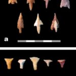 Fig. 35. Late Neolithic arrowheads from Structure W-66; a, Haparsa arrowheads; b, transverse arrowheads (G. Rollefson).