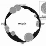 Fig. 70. Three diagrams representing the spatial distribution of tafoni dimension in relationship to aspect. The black circles represent the horizon diagrams of the vista plan from the djinn block. Note the greatest dimensions were found on the southern faces (depth and width), while the largest axes (length) were recorded along the southern, northern, and western faces (drawing by T. Paradise).