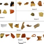 Fig. 4. Finds from Wall T1 and Wall T4 of the peribolos in the Megaron B complex.