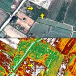 Fig. 2. Buried streets identified at Elis (yellow arrows) from vegetation stress in a field south of the excavation zone, from GeoEye-1, 20 July 2009. Although the streets are discernable in true-color RBG (top), other features are more easily seen when feature enhancement is applied—weighted difference vegetation index (WDVI), in this example (bottom) (includes copyrighted material of DigitalGlobe, Inc.; all rights reserved).