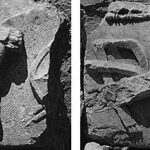 Fig. 10. Frieze blocks from the Arch of Augustus with cuirass and quiver depicted in relief (G.R. Swain, archive photographs, 1924, nos. 7.1454, 7.1453, Pisidian Antioch excavation archive, Kelsey Museum of Archaeology, University of Michigan; courtesy Kelsey Museum of Archaeology).