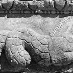 Fig. 13. Frieze block from the Arch of Hadrian and Sabina with a hippocamp depicted in relief (G.R. Swain, archive photograph, 1924, no. 5.0213, Pisidian Antioch excavation archive, Kelsey Museum of Archaeology, University of Michigan; courtesy Kelsey Museum of Archaeology).