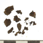 Fig. 2. Fragments of keratin scutes found together with Carapace 2 (G. Bieg; courtesy Penn Museum, Gordion Project Archives, image no. 2014-5312).