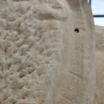 Fig. 4. East pediment C, detail of hole drilled through the mane of Helios’ inner trace horse. Athens, Acropolis Museum.