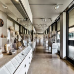 Fig. 1. View of the first floor galleries of the Upjohn Wing of the Kelsey Museum. Note the drawers with additional materials installed below the vitrines (courtesy HBRA Architects Inc. and M. Ballogg, Ballogg Photography).