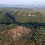 Fig. 1. Aerial view of the Iklaina plateau looking west. The bay of Navarino can be seen in the distance.