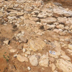 Fig. 11. Flagstones at the east end of the Cyclopean Platform marking the level of the floor of the Cyclopean Terrace Building (CTB).