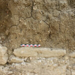 Fig. 4. Upper portion of the south wall of the frigidarium (Room 1); detail of pisé (above) and plastered (below) wall (scale: 10 cm).