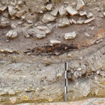 Fig. 6. Section through the dumps of backfilled material in the frigidarium (Room 1), showing tip lines (scale: 50 cm).