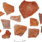 Fig. 14. Sherds of Level V pottery with typical decoration of red slip and irregular hand burnish (T. Rogovski).