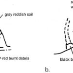 Fig. 8. Section drawings of two clay bins from Terraced Building Phase 2: a, east–west section through “B4h7” Locus 10, NSS-9; b, north–south section through “B4i7” Locus 57, NSS-7 (drawings by B.C. Coockson).