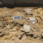 Fig. 9. View of NSS-7 during excavation, showing collapsed walling and broken pottery covering floor and installations.