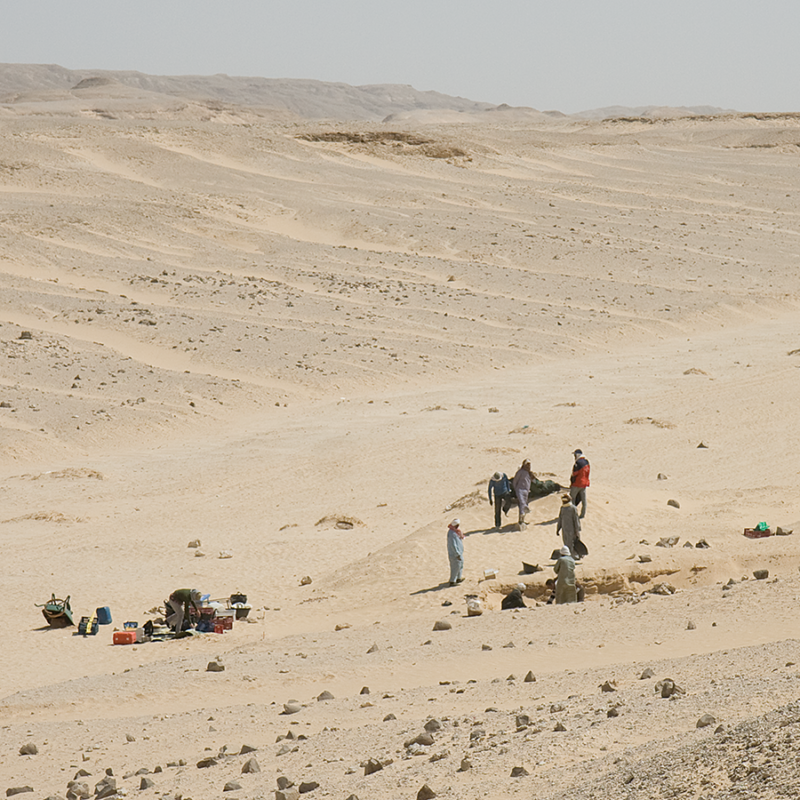 A view across the Amarna excavations at the South Tombs Cemetery in 2010, facing southeast (courtesy Gwil Owen and the Amarna Project).