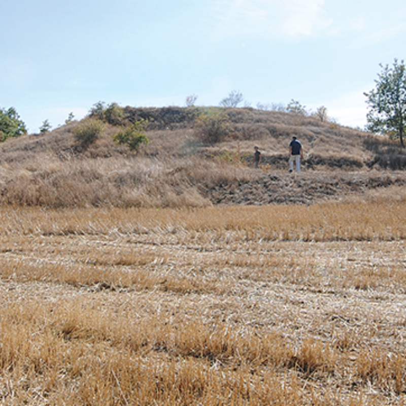 General view of the tumulus before the excavations, from the west (courtesy Bilecik Museum).